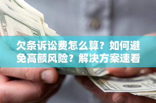 北京欠条诉讼费怎么算？如何避免高额风险？解决方案速看！