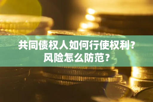 北京共同债权人如何行使权利？风险怎么防范？