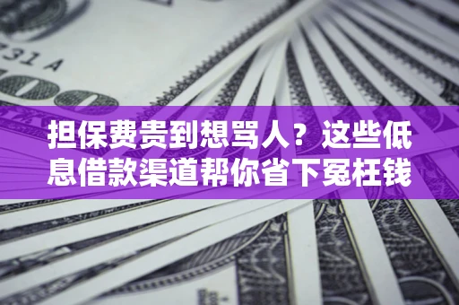 北京担保费贵到想骂人？这些低息借款渠道帮你省下冤枉钱