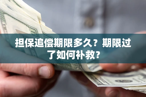 北京担保追偿期限多久？期限过了如何补救？